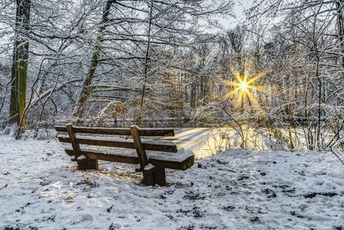 Deutschland, Frankfurt, Stadtpark im Winter - TIF000063