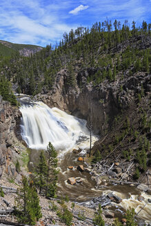 USA, Yellowstone National Park, Blick auf die Gibbon Falls - FOF007989