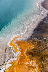 USA, Yellowstone Park, Hot spring, Black Pool, close-up - FOF007992