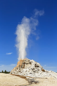 USA, Wyoming, Yellowstone-Nationalpark, Ausbruch des White-Dome-Geysirs - FOF007964