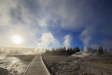 USA, Wyoming, Yellowstone National Park, Lower Geyser basin, Dampf der Geysire am Morgen - FOF007997