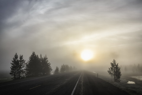 USA, Yellowstone Nationa Park, Morgenstimmung, Straße und Nebel bei Sonnenaufgang, lizenzfreies Stockfoto