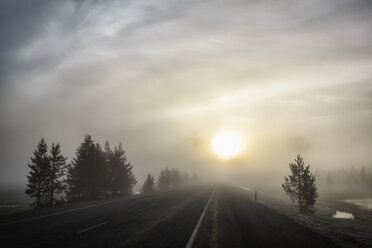 USA, Yellowstone Nationa Park, Morgenstimmung, Straße und Nebel bei Sonnenaufgang - FOF008004