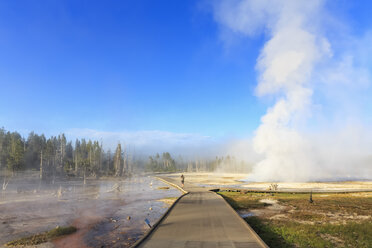 USA, Wyoming, Yellowstone National Park, Lower Geyser basin, Dampf der Geysire am Morgen - FOF008005