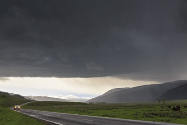 USA, Wyoming, Lamar Valley, Yellowstone National Park, Car on Highway, stormy weather - FOF008008