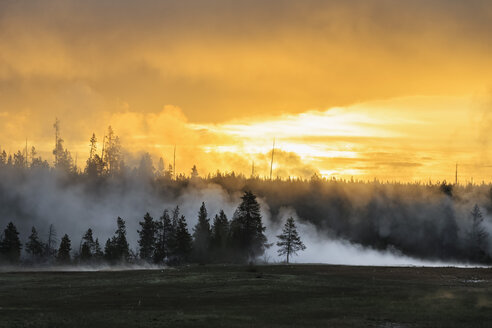 USA, Yellowstone National Park, Morgenstimmung mit heißem Dampf - FOF008009