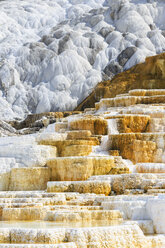 USA, Wyoming, Mammoth Hot Springs, Yellowstone National Park, Untere Terrassen, Palette Spring - FOF008010