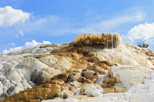 USA, Wyoming, Mammoth Hot Springs, Yellowstone National Park, Untere Terrassen, Palette Spring - FOF008012