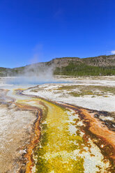 USA, Yellowstone National Park, Bisuit Basin, Sapphire Pool, drain with thermophile bacteria and algae - FOF007986