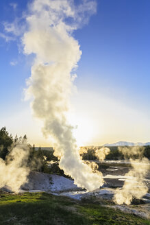 USA, Wyoming, Yellowstone-Nationalpark, Norris-Geysir-Becken, Ledge-Geysir, Valentine-Geysir, Black Growler Steam Vent - FOF008034