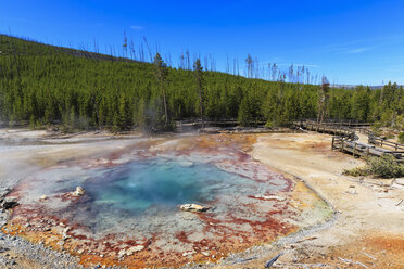 USA, Wyoming, Yellowstone-Nationalpark, Norris-Geysir-Becken, Echinus-Geysir - FOF008041