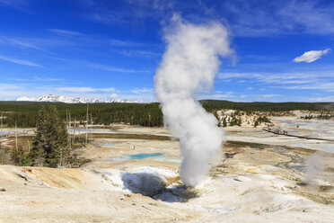 USA, Wyoming, Yellowstone-Nationalpark, Norris-Geysir-Becken, Valentine-Geysir - FOF008042