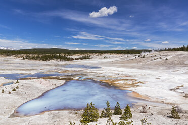 USA, Wyoming, Yellowstone-Nationalpark, Norris-Geysir-Becken, Porzellan-Quellen - FOF008044