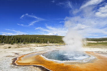 USA, Wyoming, Yellowstone National Park, Oberes Geysirbecken, Crested Pool, Heiße Quelle - FOF008045