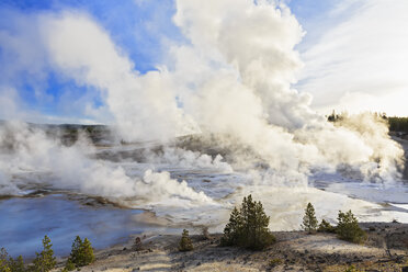 USA, Wyoming, Yellowstone-Nationalpark, Norris-Geysir-Becken, Porzellan-Quellen - FOF008046