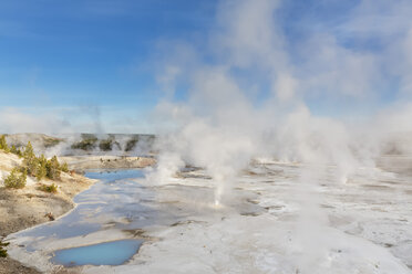 USA, Wyoming, Yellowstone-Nationalpark, Norris-Geysir-Becken, Porzellan-Quellen - FOF008047