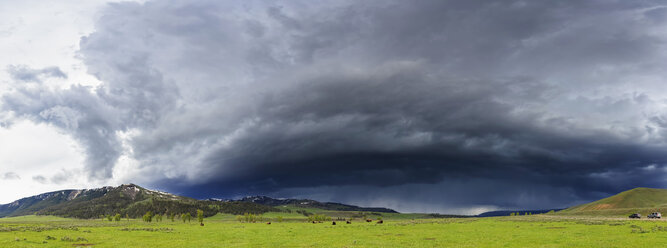 USA, Yellowstone National Park, Panorama, Landscape and stormy atmosphere - FOF008059