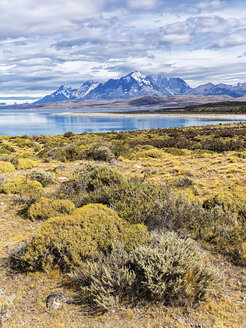 Chile, Cordillera del Paine, Blick auf den Sarmiento See und die Torres del Paine im Hintergrund - STSF000728