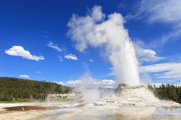 USA, Wyoming, Yellowstone-Nationalpark, Oberes Geysirbecken, Ausbruch von Castle Geysir - FOF008080