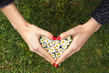 Woman's hands shaping a heart above daisies on the grass - GEMF000188