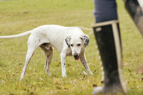 Frau mit Hund auf Wiese - ONF000803