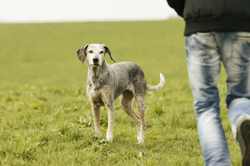 Mann beim Sport mit Hund auf einer Wiese - ONF000815