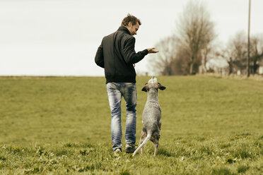 Mann beim Sport mit Hund auf einer Wiese - ONF000819