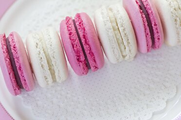 Row of cocos and blackberry macarons - YFF000374