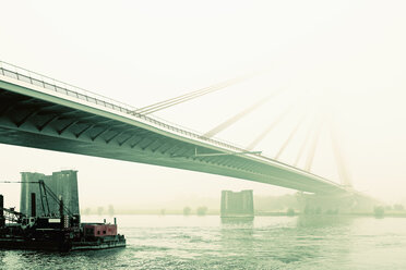 Germany, Wesel, cable stayed bridge in the mist - MSF004502
