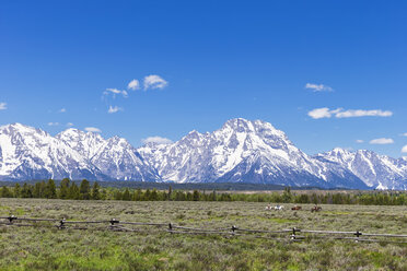 USA, Wyoming, Grand Teton National Park, Teton Range, Reiter und Pferde - FOF008096