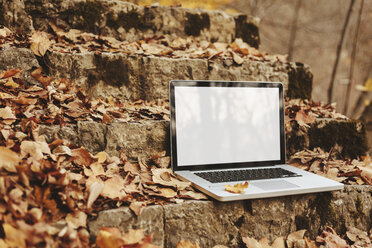 Laptop auf Steintreppe mit Herbstblättern - BZF000132