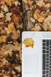 Laptop auf Steintreppe mit Herbstblättern - BZF000133