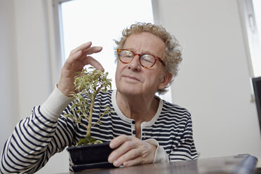 Älterer Mann mit Bonsaibaum - RHF000806