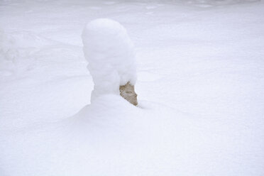 Chinesische Figur mit Schnee bedeckt in einem Garten - AXF000753