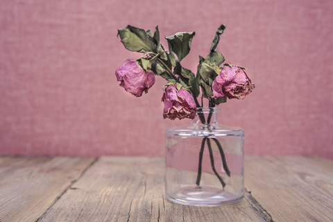 Glasvase mit drei verwelkten Rosen, lizenzfreies Stockfoto