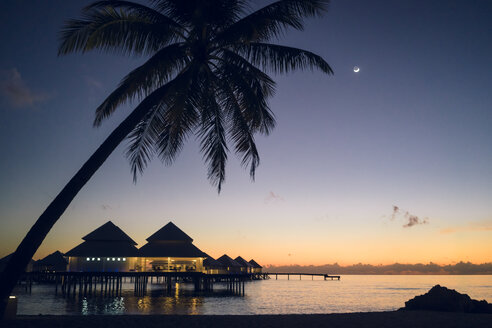 Maldives, Ari Atoll, sunset with palm tree and water villas - FLF000931