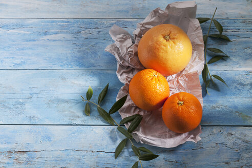 Rosa Grapefruit und zwei Orangen auf Papier - CSF025320