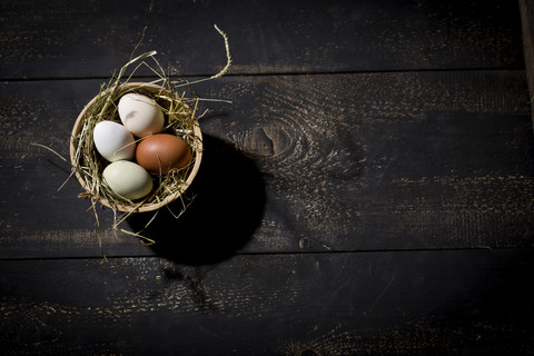 Osternest mit Eiern in Schale auf dunklem Holz, lizenzfreies Stockfoto
