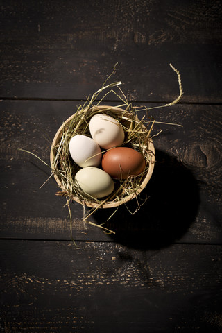 Osternest mit Eiern in Schale auf dunklem Holz, lizenzfreies Stockfoto