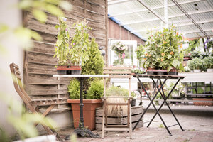 Seating area in a plant nursery - ASCF000139
