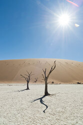 Namibia, Namib-Wüste, Namib Naukluft Park, Sossusvlei, Deadvlei - CLPF000100