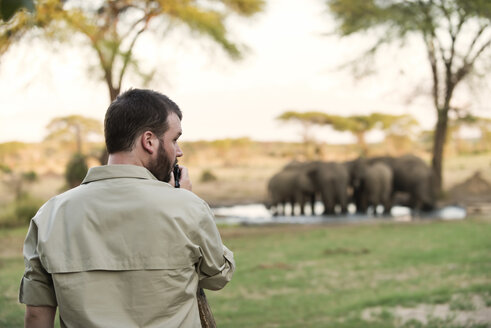 Botswana, Senyati Safari Camp, Man taking pictures of group of elephants - CLPF000112