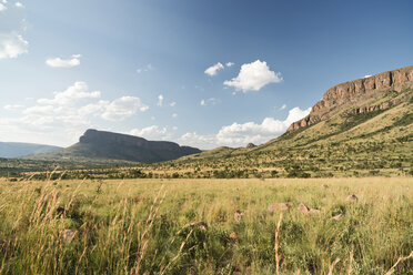 Südafrika, Limpopo, Marakele National Park, Waterberg - CLPF000114