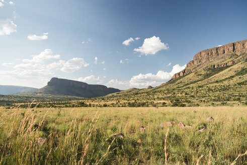 Südafrika, Limpopo, Marakele National Park, Waterberg - CLPF000114