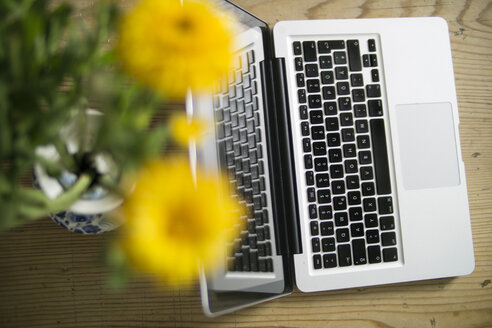 Blumenvase und Laptop auf Holz - RIBF000025