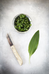 Ramson leaf and chopped ramson - EVGF001615