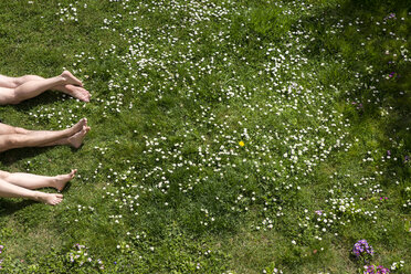 Legs of three people lying in spring meadow - MIDF000321