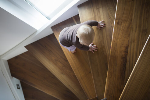 Baby girl climbing up a stair - JTLF000104