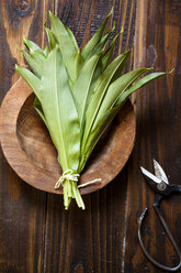 Bärlauch, Allium ursinum, auf einem Teller - SBDF001776