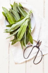 Bärlauch, Allium ursinum, Schere und weißes Tuch - SBDF001778